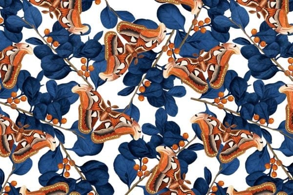 Berries and Butterflies - Image 2