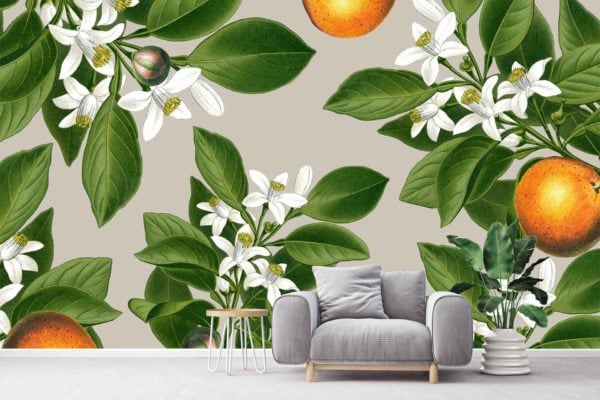 Orange Blossoms - Image 3
