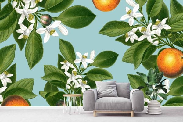 Orange Blossoms