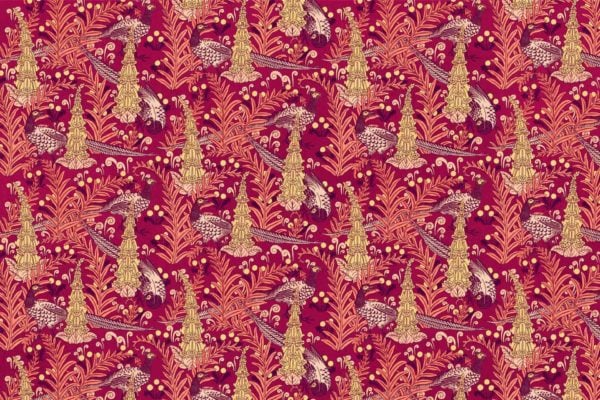 Pheasant Fun - Image 2
