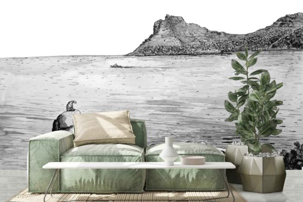 Hout Bay Sentinel