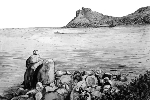 Hout Bay Sentinel - Image 2