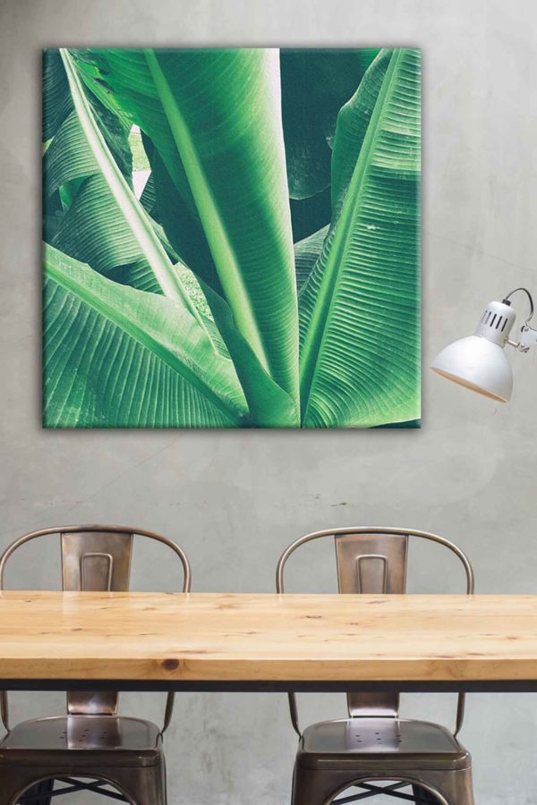 Stretched Canvas