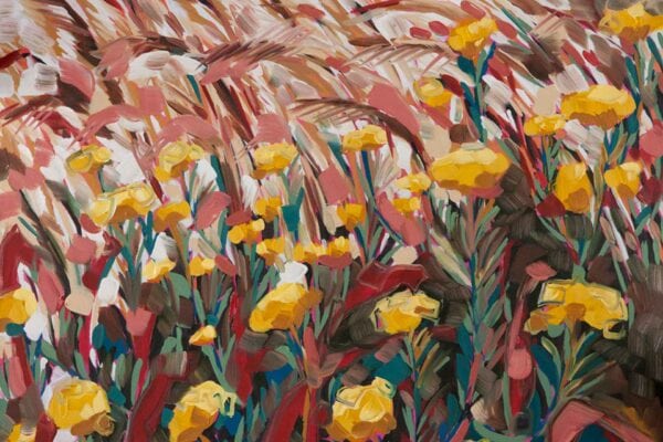 Helichrysum and Restio – Pause Series - Image 2