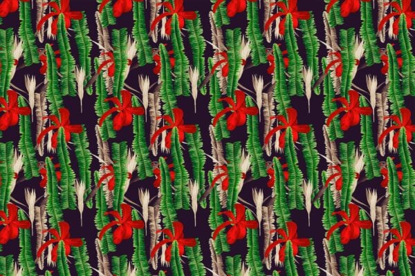 Fern Club - Image 2