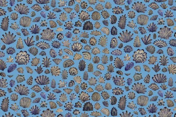 Blue & Blue - Image 2