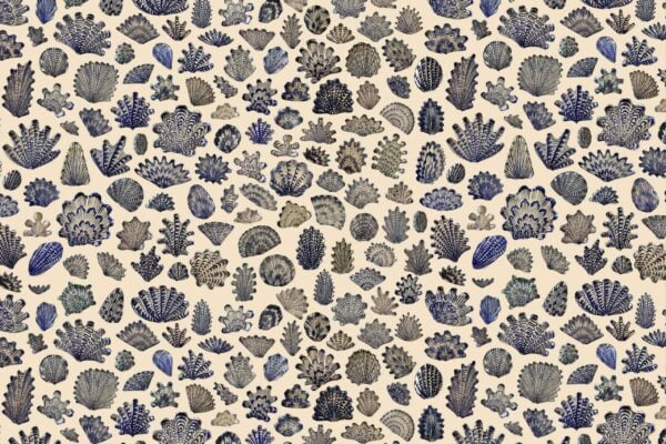 Blue & Cream - Image 2