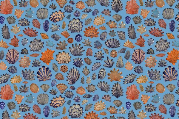 Blue Coral & Blue - Image 2