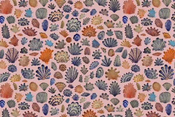 Blue Coral & Pink - Image 2