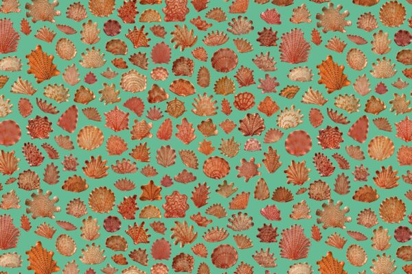 Coral & Green - Image 2