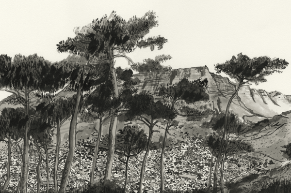 Signal Hill - Image 2