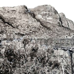 Boomslang, Kirstenbosch