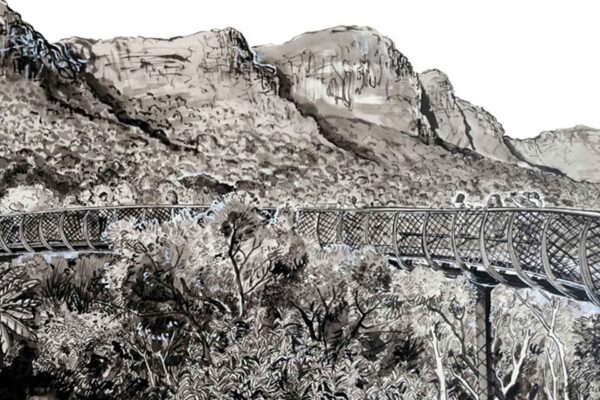 Boomslang, Kirstenbosch - Image 2