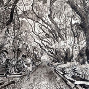 Camphor Avenue, Kirstenbosch