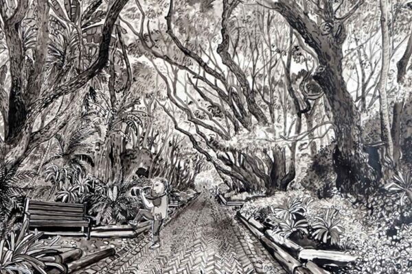 Camphor Avenue, Kirstenbosch - Image 2