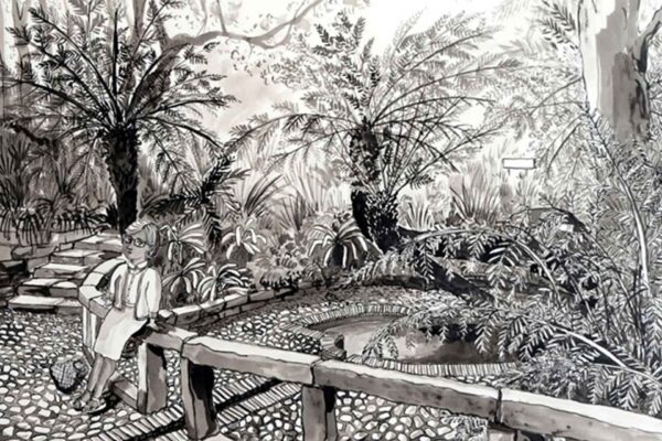 Colonel’s Bird Bath, Kirstenbosch - Image 2