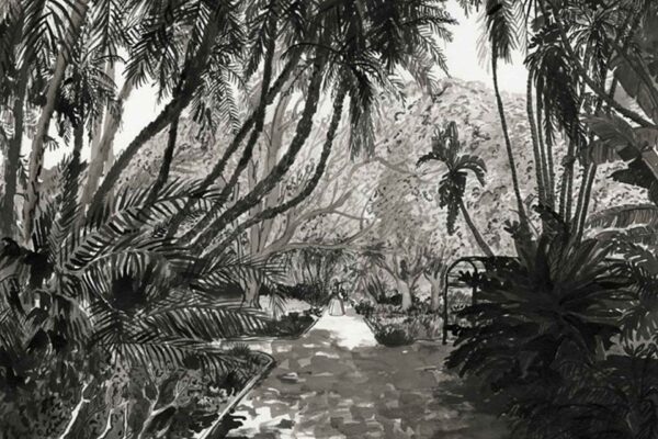 Company Gardens Path - Image 2