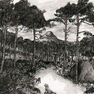 Deer Park Walk