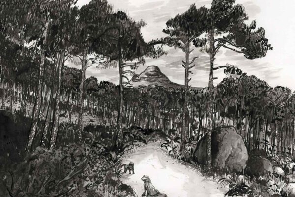 Deer Park Walk - Image 2