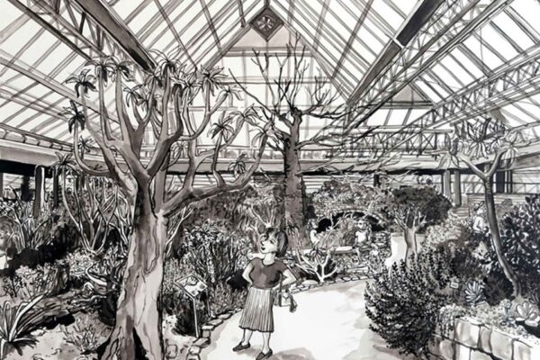 Greenhouse, Kirstenbosch - Image 2