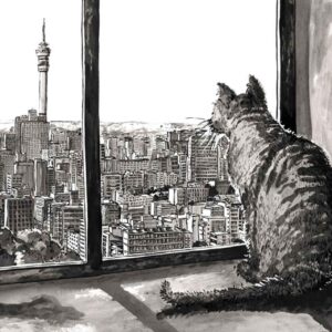 Hillbrow Pussy with a View