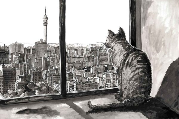 Hillbrow Pussy with a View - Image 2