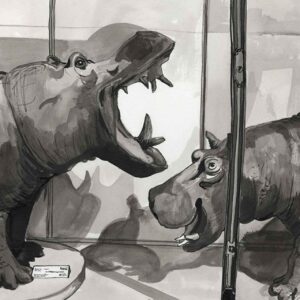 Museum Hippos