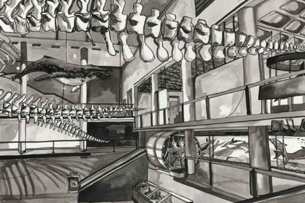 Museum Whale Calls - Image 2