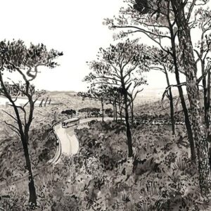 Tafelberg Road With Bus