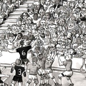 The Springboks
