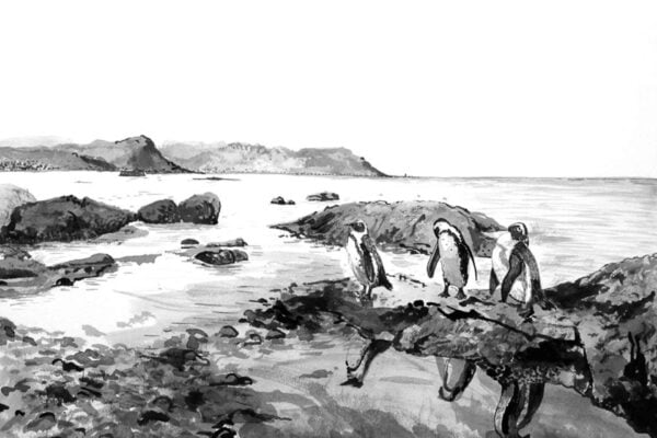 Waters Edge - Image 2