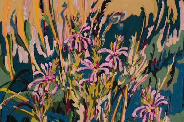 Pink Erica and Restio Saunter series - Image 2