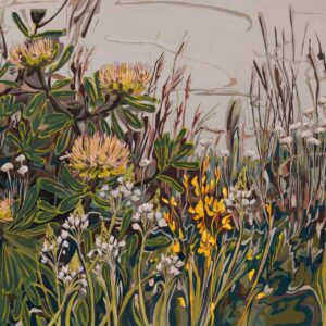 Fynbos landscape with Protea Nitida, Butterfly lily and Chinkerinchee Saunter series