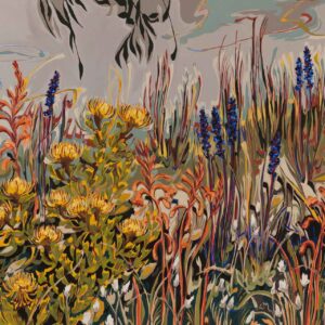 Pincushion, Watsonia, Aristea and Everlasting Saunter series