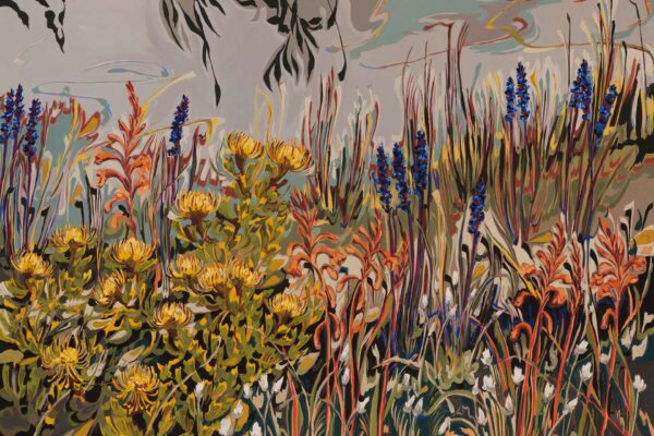 Pincushion, Watsonia, Aristea and Everlasting Saunter series - Image 2