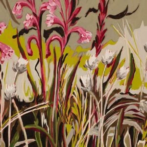 Watsonia And Everlasting Unspoken Series