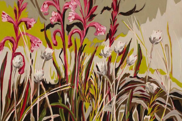 Watsonia And Everlasting Unspoken Series - Image 2