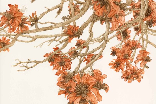 Coral Tree Branches - Image 2