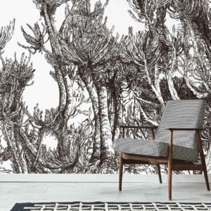 Euphorbia Black Ink Lines