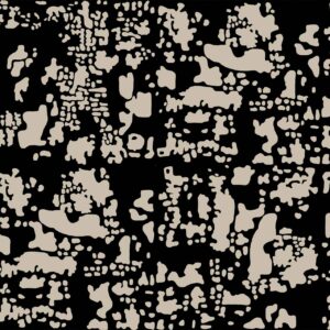 Morning Mosaic Taupe on Black