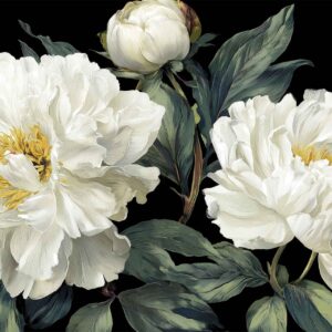 White Peony