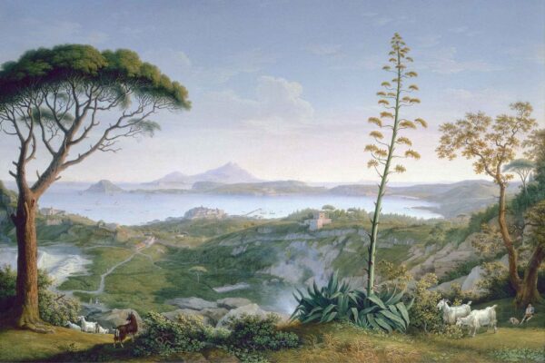 The Viewpoint - Image 2