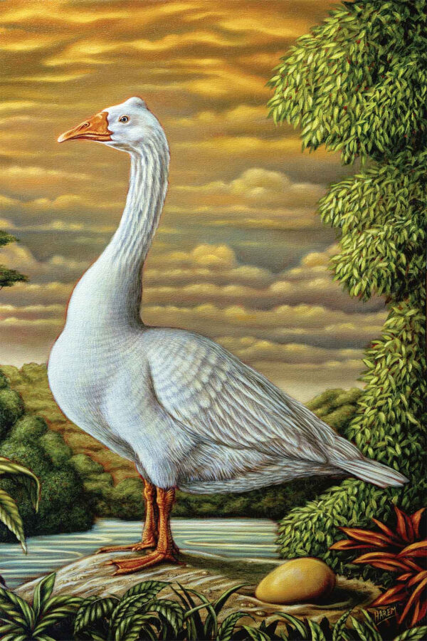 Golden Goose - Image 2