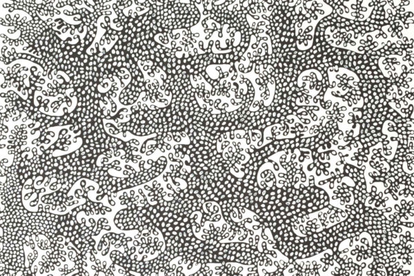 Hidden Pulse - Image 2