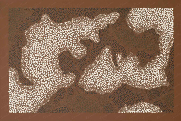 Lichen Atlas - Image 2