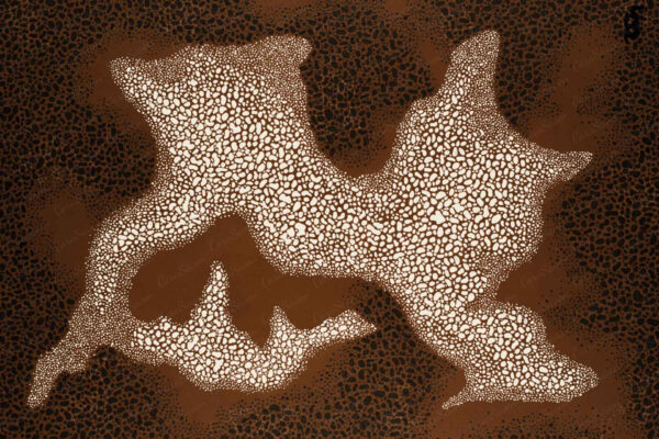 Lichen Waltz 2 - Image 2