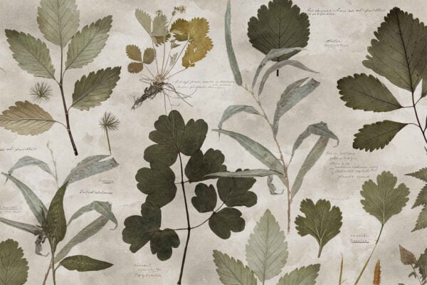 Preservation - Image 2