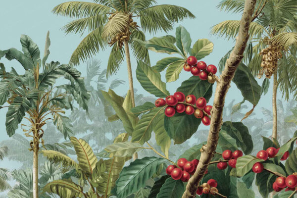 Arabica Garden - Image 2