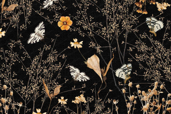 Silk Wings - Image 2