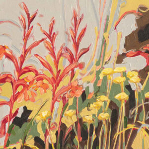 Watsonia and Helichrysum_Grounded